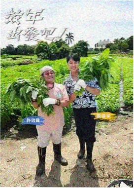 热播榜第二 欧冠夜场